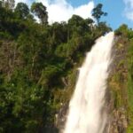 Waterfalls, Coffee, Hotsprings, Food Cuisine, & Serval Wildlife - Food, Coffee, and Cultural Experiences