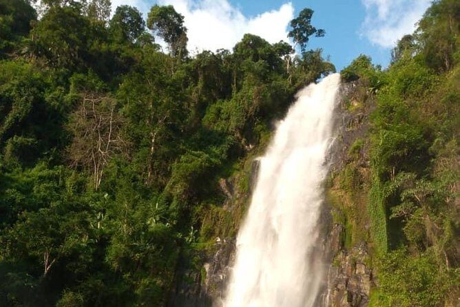 Waterfalls, Coffee, Hotsprings, Food Cuisine, & Serval Wildlife - Food, Coffee, and Cultural Experiences