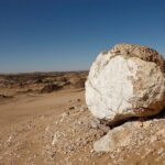 Welwitschia Tour from Swakopmund - Why You Should Consider This Tour