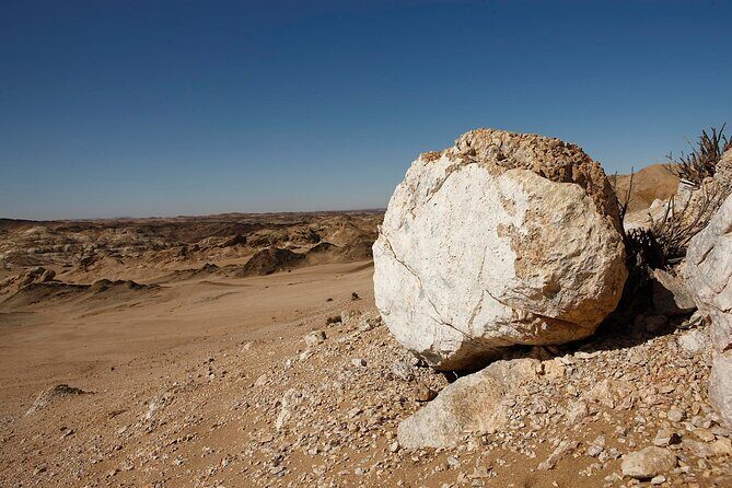 Welwitschia Tour from Swakopmund - Why You Should Consider This Tour