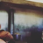 West Coast Day Trip from Cape Town - What Makes This Tour Stand Out?