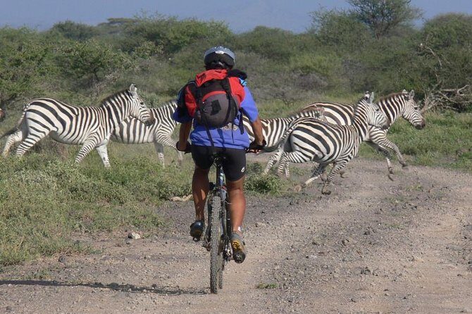 West Kilimanjaro cycling Adventures - The Second Day: Wrapping Up with More Riding and Views