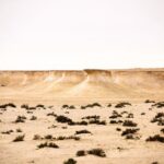 West of Qatar Tour || Richard Serra || Mushroom Rock Formation - What’s Included and What’s Not