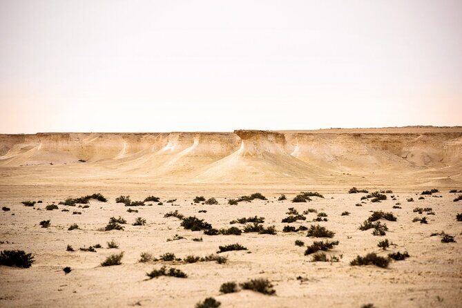 West of Qatar Tour || Richard Serra || Mushroom Rock Formation - What’s Included and What’s Not