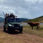West Safari - The natural pool Porto Moniz Open Roof Jeeps - The Practical Side: What’s Included and What’s Not