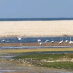 West Salalah Beaches and Blowholes - FAQs About the West Salalah Beaches and Blowholes Tour