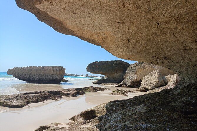 West Salalah Tour by VisitSalalah - Why We Think This Tour Works