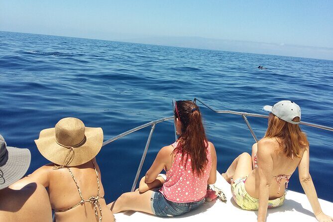 Whale and dolphin watching tour Los Gigantes and Masca in small groups - What Reviewers Say