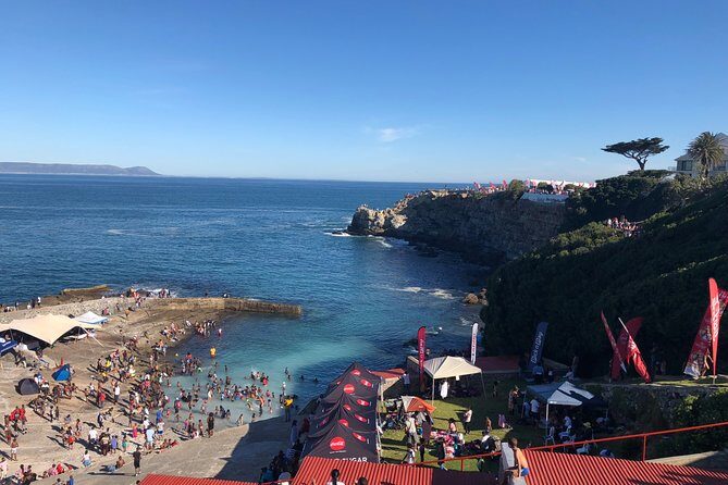 Whale Watching Tour in Hermanus with Hotel Pickup - Transportation & Duration: Comfort and Convenience