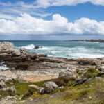 Whale Wonders: Majestic Marine Adventures in Hermanus - Final Thoughts: Who Will Love This Tour?