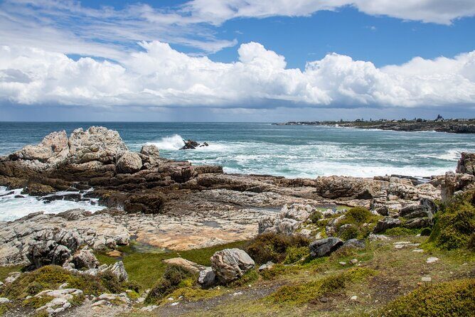 Whale Wonders: Majestic Marine Adventures in Hermanus - Final Thoughts: Who Will Love This Tour?