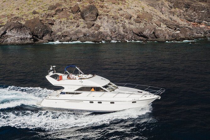 Whales and Dolphins excursion on a Luxury Yacht in Canary Islands - The Itinerary: What to Expect