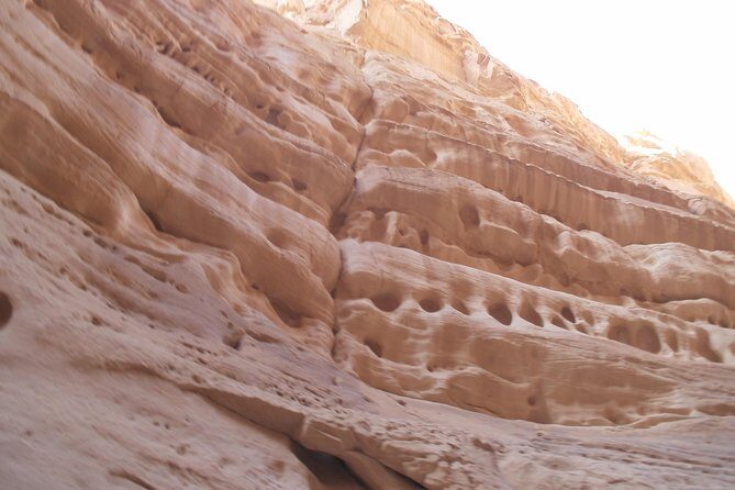 White Canyon 1-Day Camel Safari from Dahab - Key Points