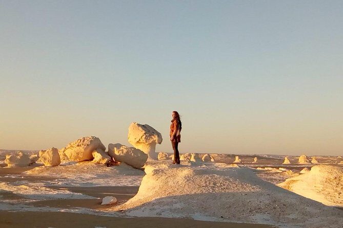 White desert and Bahariya oasis 2 days with camping experience - The Itinerary in Detail