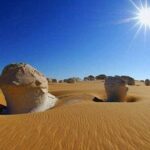 White Desert and Bahariya Oasis Tour From Cairo - Transportation & Logistics