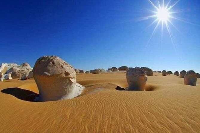 White Desert and Bahariya Oasis Tour From Cairo - Transportation & Logistics