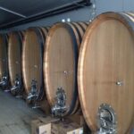 Wijntoer - Reserve tour with a winemaker! - Authentic Experiences and Insights from Reviews