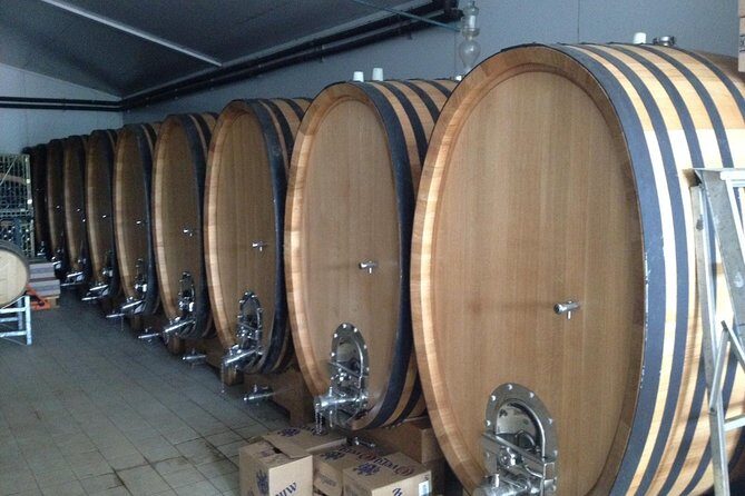 Wijntoer - Reserve tour with a winemaker! - Authentic Experiences and Insights from Reviews