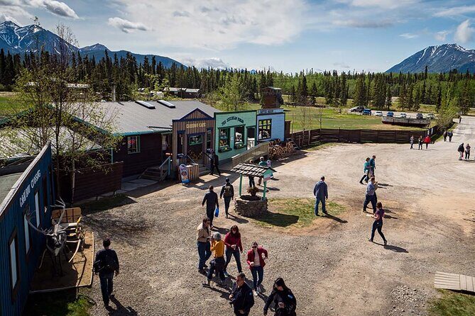Wild Adventure Yukon Tour into Canada including City and Summit - Who Should Consider This Tour?
