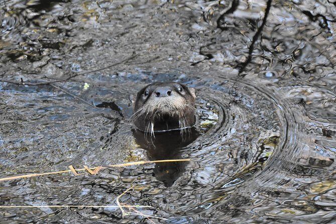 Wild & Scenic Loxahatchee River Guided Tour - Why You’ll Love This Experience
