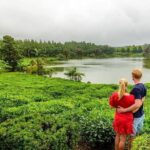Wild South: Full-Day tour incl Rhumerie St Aubin, Bois cheri Tea factory & Lunch - Authentic Experiences You Won’t Want to Miss