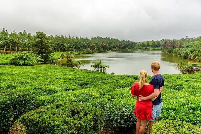 Wild South: Full-Day tour incl Rhumerie St Aubin, Bois cheri Tea factory & Lunch - Authentic Experiences You Won’t Want to Miss