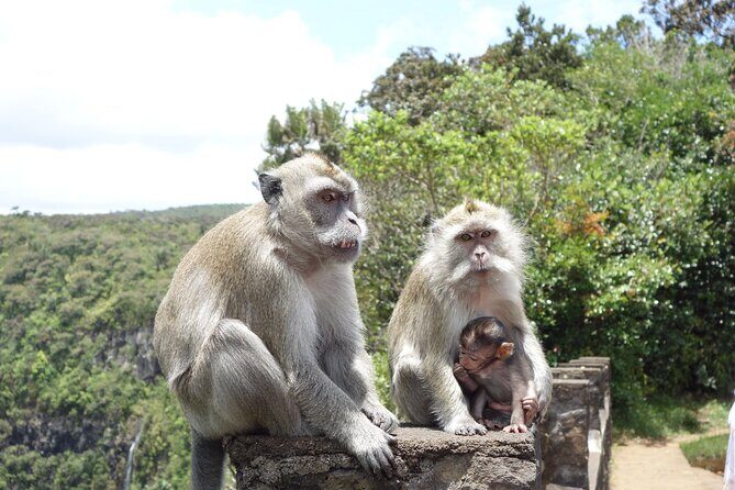 Wild South West Tour : SAFARI & TULAWAKA CASELA PARK & LE MORNE - Frequently Asked Questions