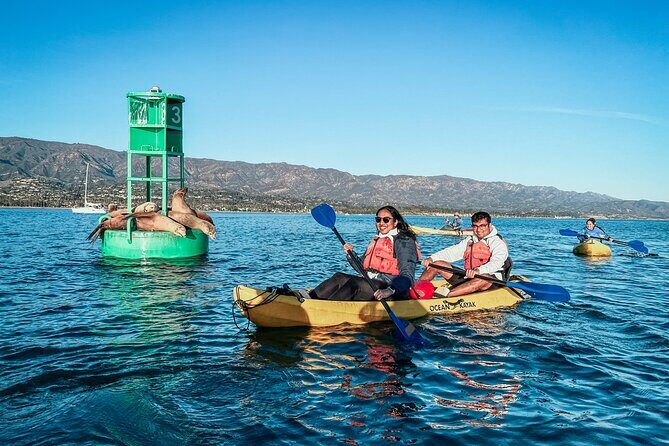 Wildlife Kayak Tour in Santa Barbara Harbor (2 Hours) - Itinerary Breakdown: What to Expect During Your Kayak Trip