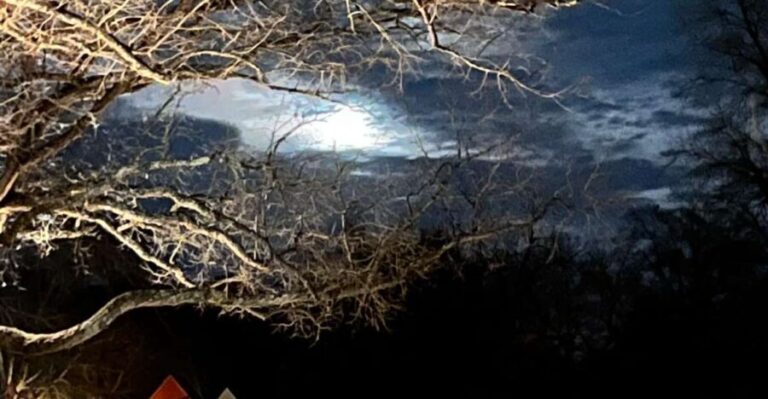 Williamsburg: Dead of Night Paranormal investigations Tour - The Itinerary: An Interactive Night in Williamsburg’s Haunted Heart