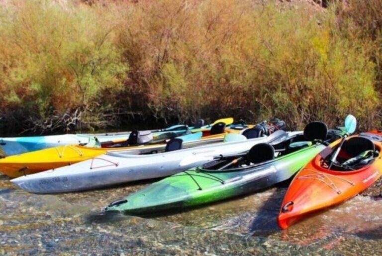 Willow Beach: Black Canyon Kayak Half Day Kayak Rentals - Practical Details That Matter