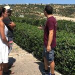 Wine and Food of Crete, Heraklion - Who Will Love This Tour?
