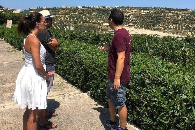 Wine and Food of Crete, Heraklion - Who Will Love This Tour?