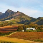 Wine Beer and Biltong Safari - Stellenbosch - Final Thoughts