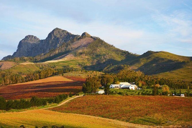 Wine Beer and Biltong Safari - Stellenbosch - Final Thoughts