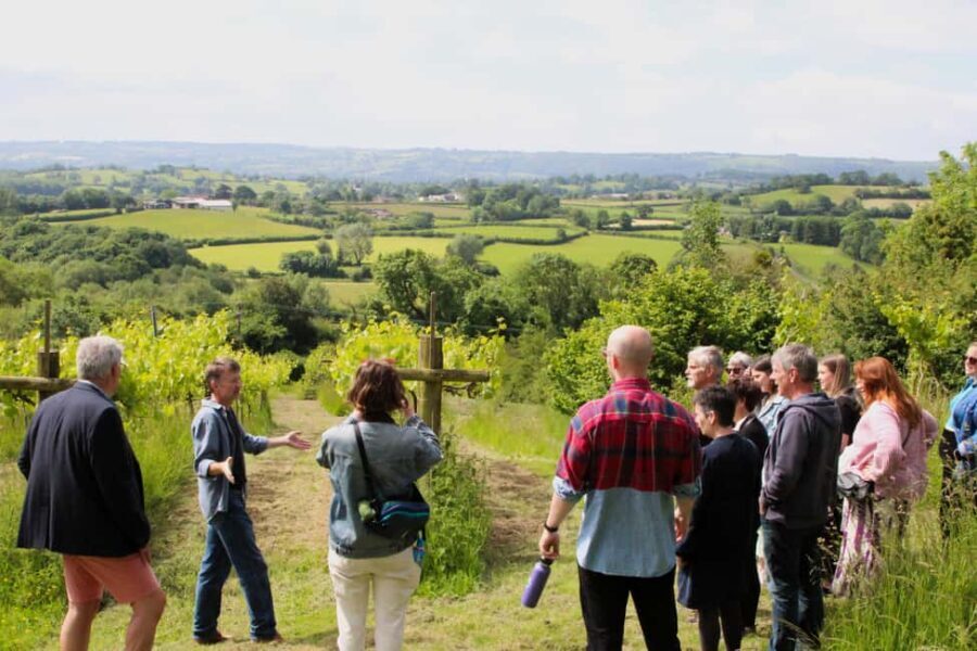 Wine & Cheese in the Somerset Valleys - with Michelin lunch - What’s Included and Practical Considerations