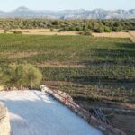 Wine experience in Dorgali in the heart of the Cannonau Classic Zone - The Itinerary: What to Expect During Your Visit