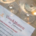 Wine & Music on the Terrace - What Makes It Special: The Experience