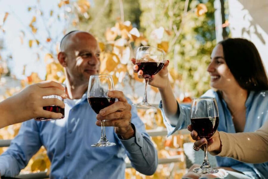 Wine tasting and arancini in a restaurant in Piazza Armerina - What You’ll Taste