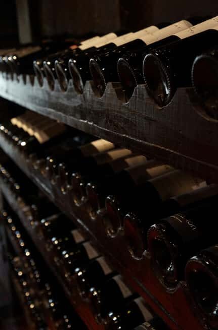 Wine Tasting and Dinner, including Sommelier - A Deep Dive into the Experience