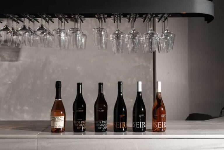 Wine Tasting at Paros Farming Community - A Deep Dive into the Experience