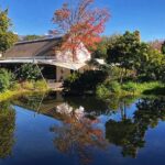 Wine Tasting, Cape Dutch Farm and Art Day Tour from Cape Town - Why This Tour Offers Great Value