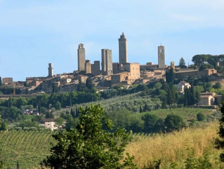 Wine Tasting - Essenza Toscana - Practical Details and Tips