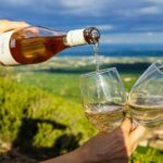 Wine Tasting in Constantia Region Cape Town - In-Depth Look at the Itinerary