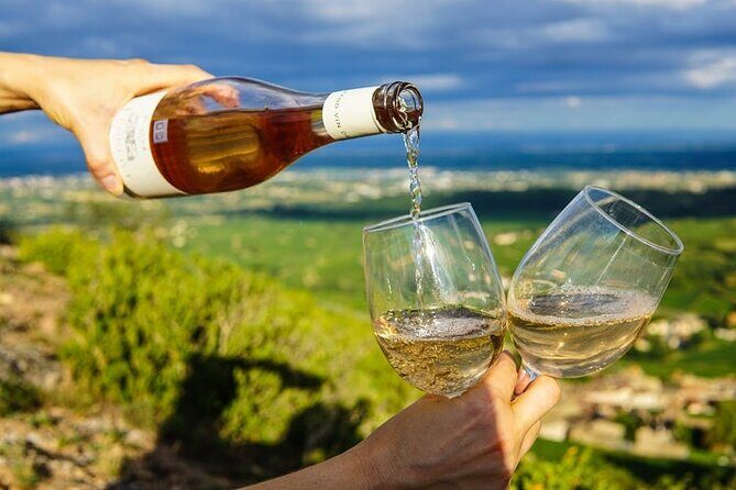 Wine Tasting in Constantia Region Cape Town - In-Depth Look at the Itinerary