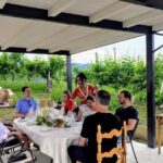 Wine tasting in the family cellar - Why This Experience Works