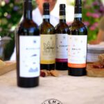 Wine Tasting in the Heart of Monferrato - Classic - Analyzing the Value: Is It Worth Your Time and Money?
