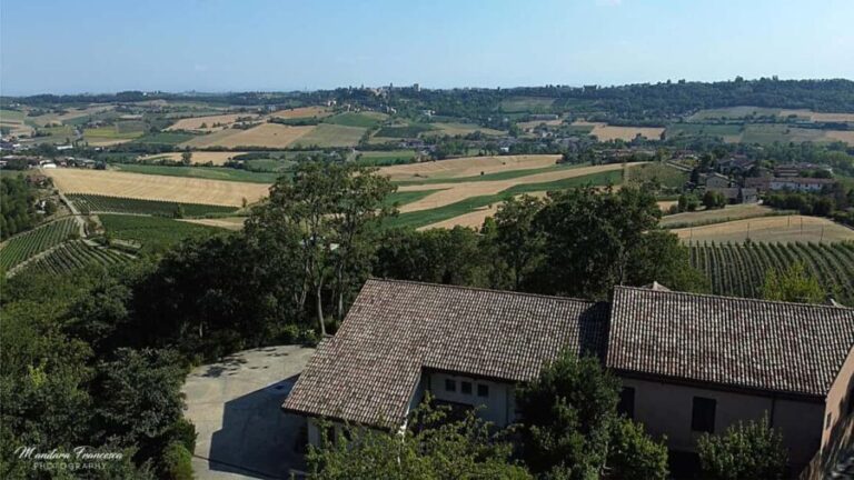 Wine Tasting in the Heart of Monferrato - Discovering Grignolino - Who Will Love This Tour?