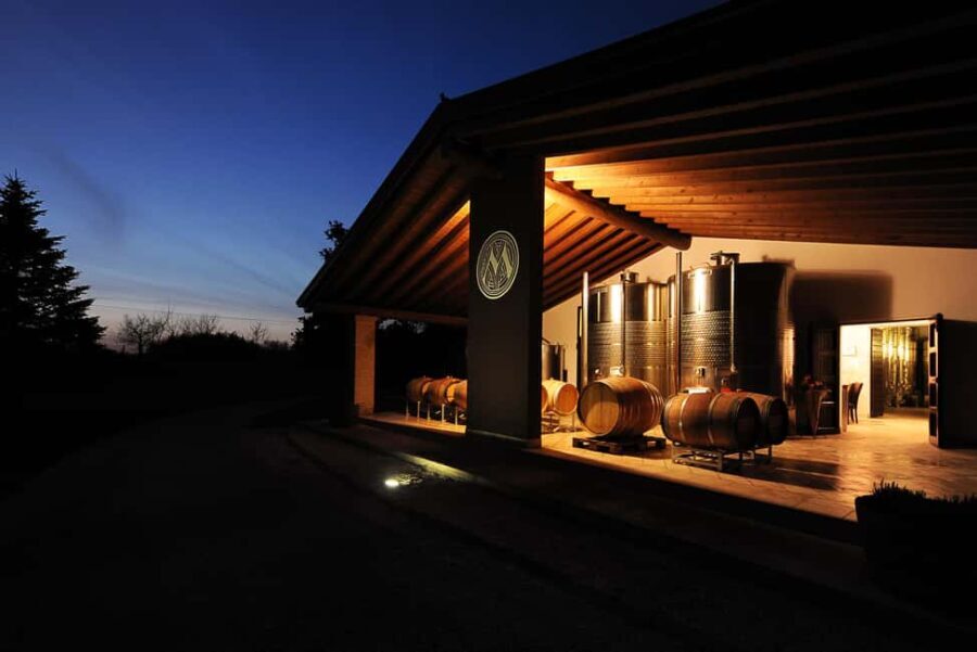 Wine tasting in the morainic hills at Tenuta Maddalena - Who should try this