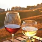 Wine Tasting - Private Half-Day Tour - Final thoughts: Is this tour worth it?