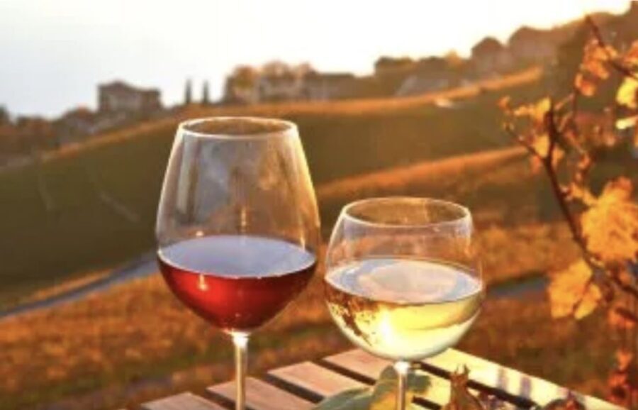 Wine Tasting - Private Half-Day Tour - Final thoughts: Is this tour worth it?